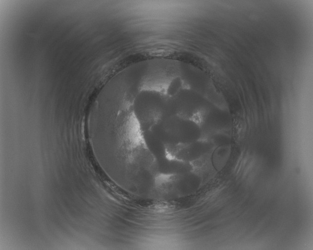 X0000066930745200603241115