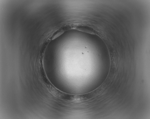 X0000066930746200603241115