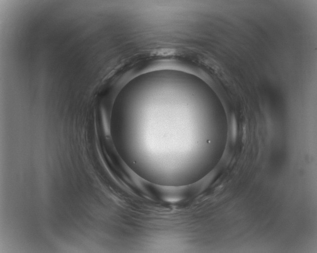 X0000066930750200603241115