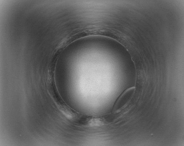 X0000066930751200603241116