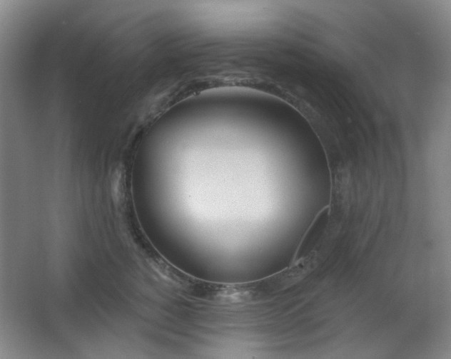 X0000066930760200603241116