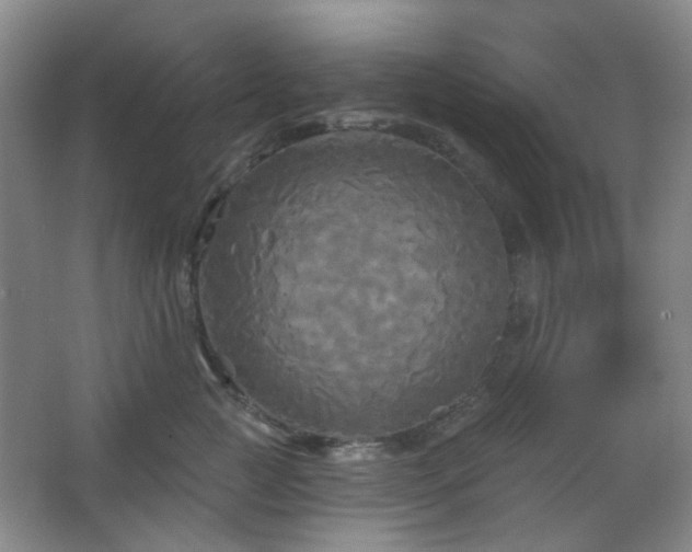 X0000066930761200603241116