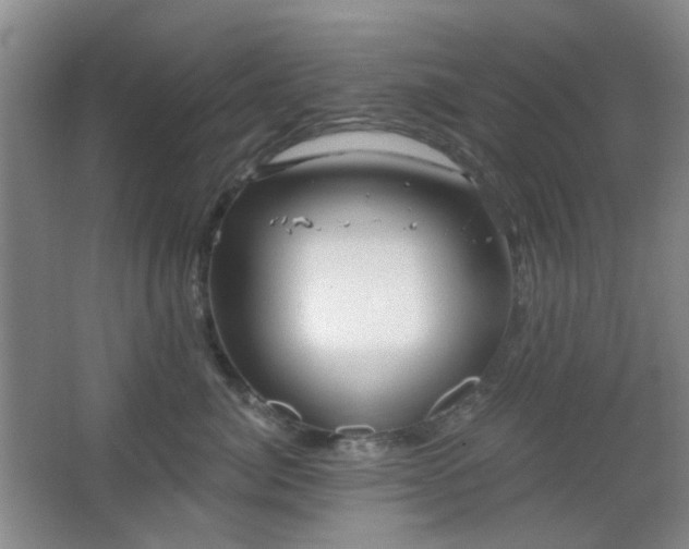 X0000066930764200603241116