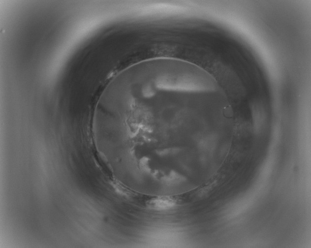 X0000066930765200603241116
