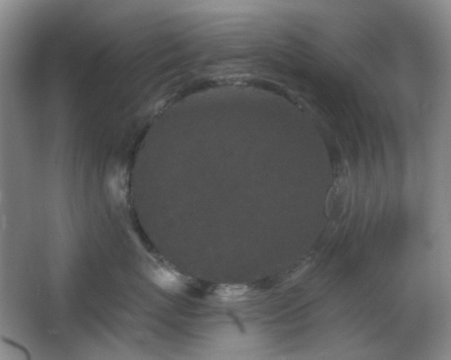 X0000066930767200603241116
