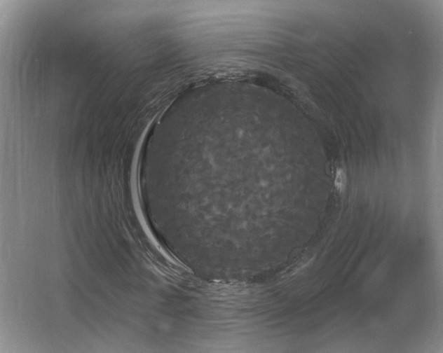 X0000066930771200603241115