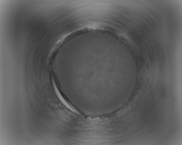X0000066930776200603241115