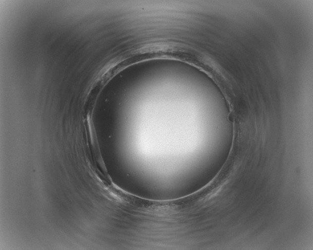 X0000066930778200603241115