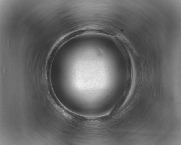 X0000066930784200603241115