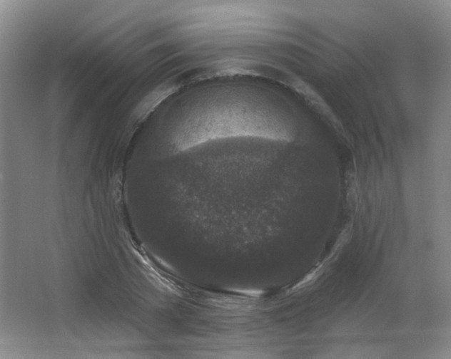 X0000066930785200603241115