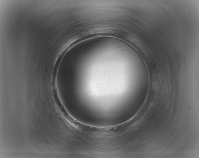 X0000066930786200603241115