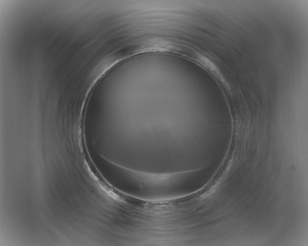 X0000066930802200603241114