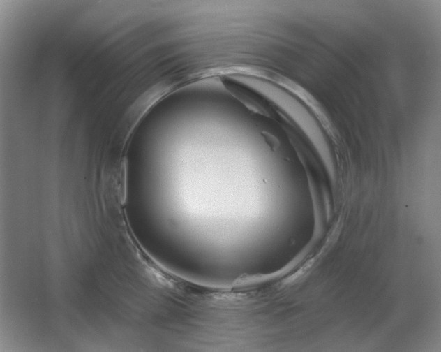 X0000066930809200603241114