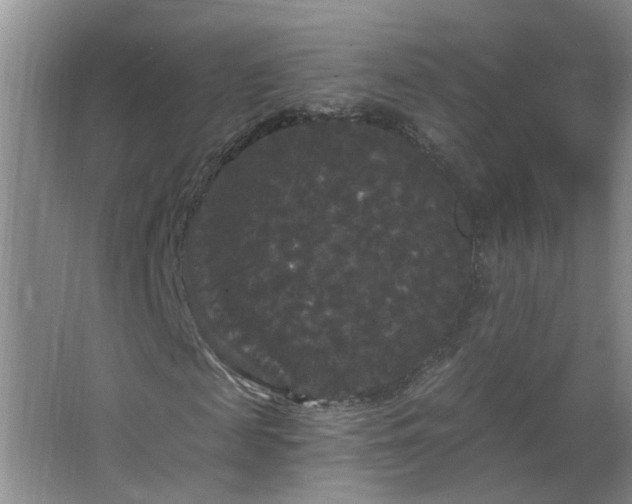 X0000066930817200603241113