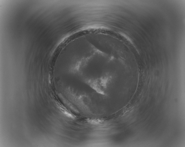 X0000066930823200603241113