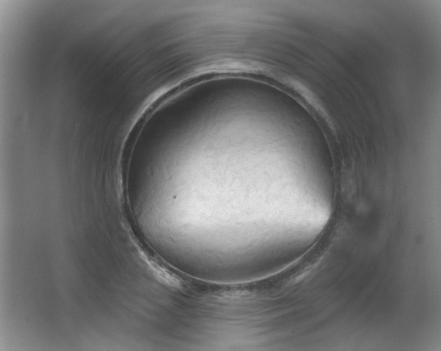 X0000066930837200603241114