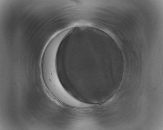 X0000066930864200603241114