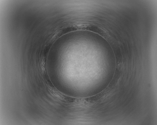X0000066930866200603241113
