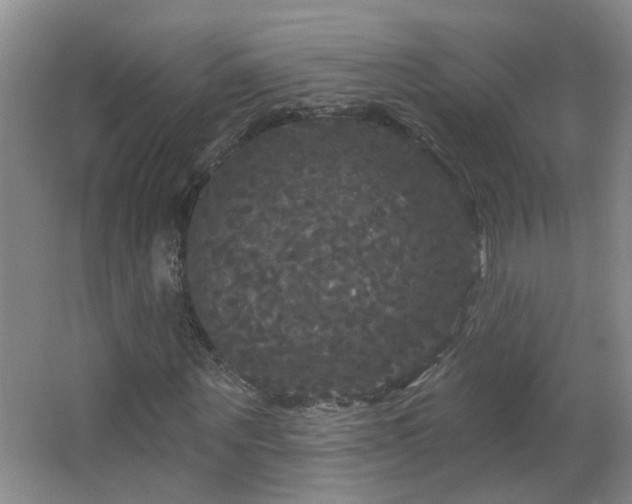 X0000066930867200603241113