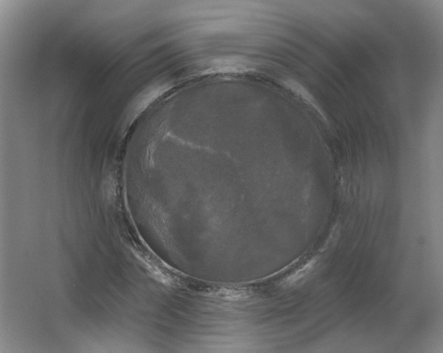 X0000066930874200603241113