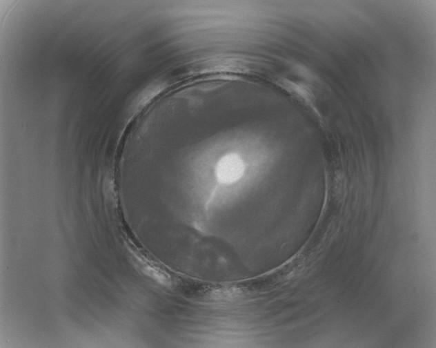 X0000066930882200603241113
