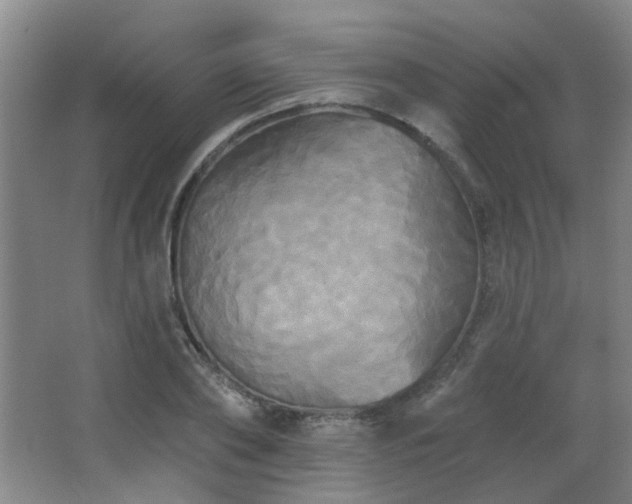 X0000066930886200603241113