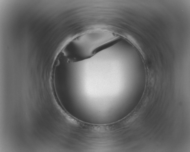 X0000066930901200603241113