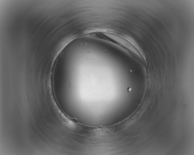 X0000066930906200603241113