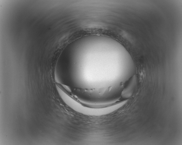 X0000066930965200603241112