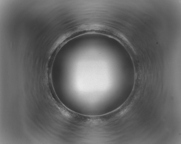 X0000066930978200603241111
