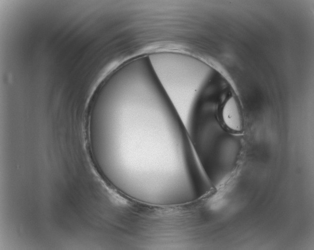 X0000066930997200603241111