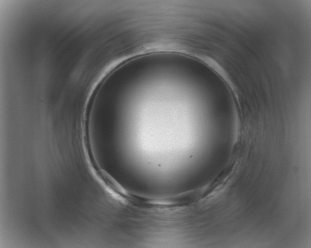 X0000066931005200603241111