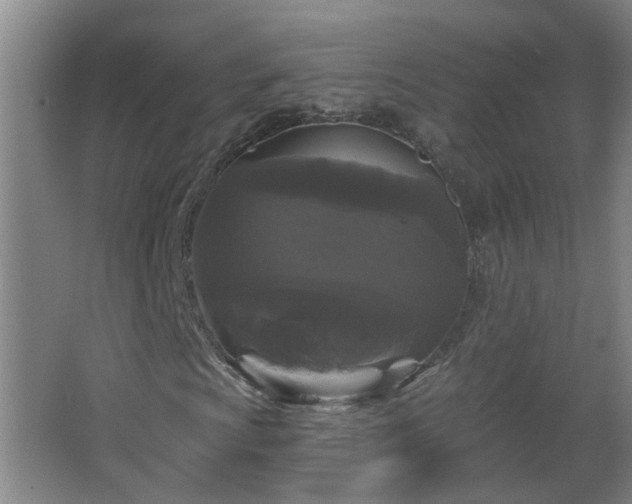 X0000066931009200603241110