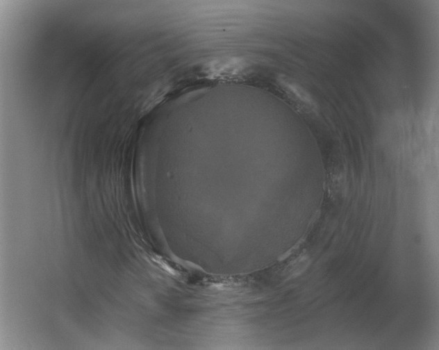 X0000066931010200603241110