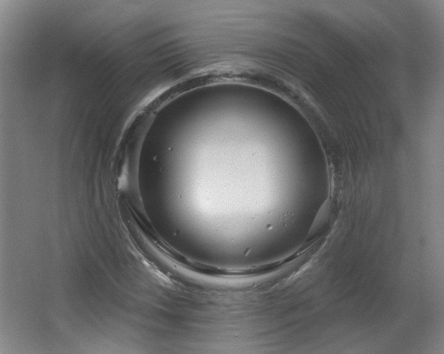 X0000066931018200603241110