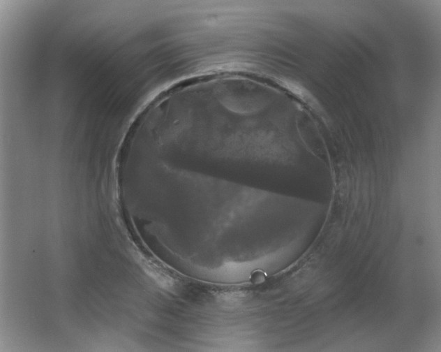 X0000066931031200603241110
