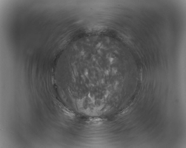 X0000066931059200603241110