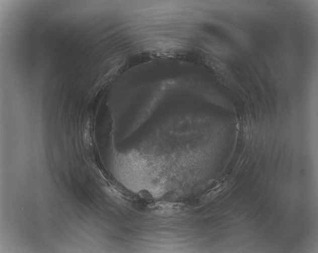 X0000066931060200603241110
