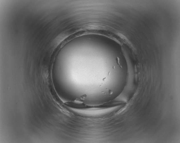 X0000066931065200603241110