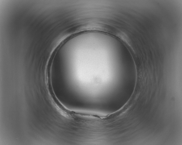 X0000066931082200603241110