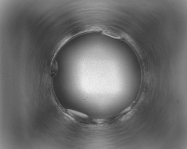 X0000066931097200603241109