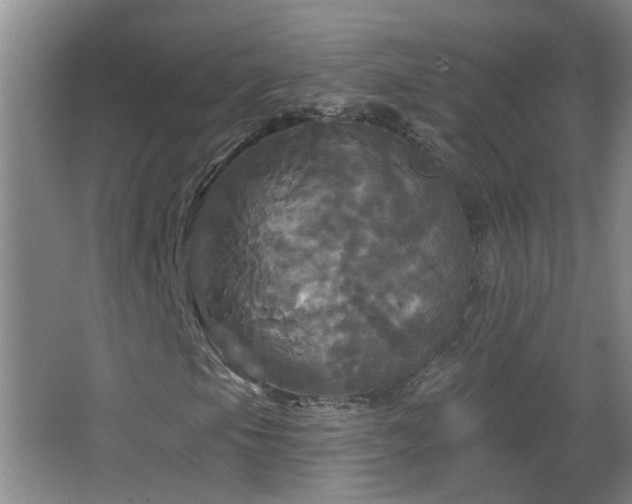 X0000066931105200603241108