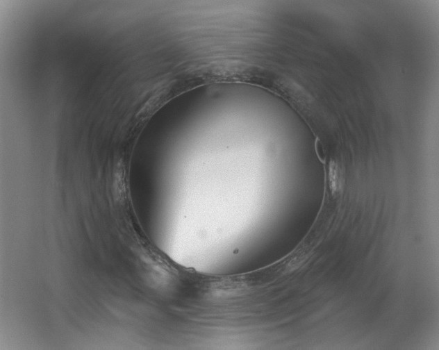 X0000066931107200603241109