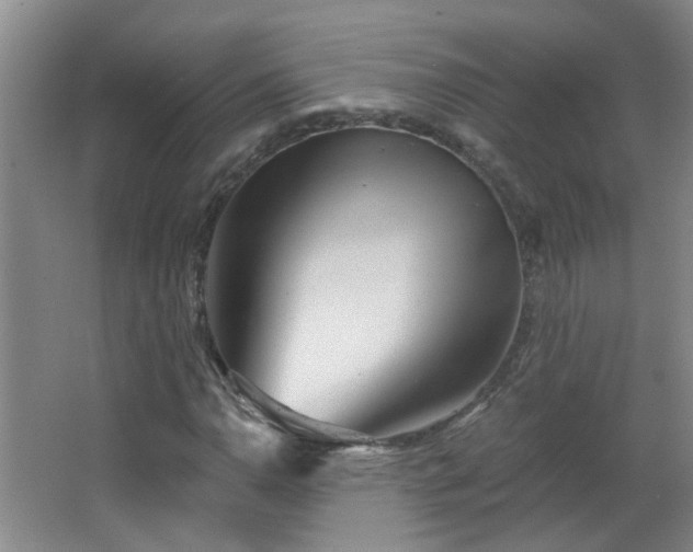 X0000066931110200603241109