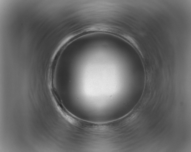 X0000066931131200603241109