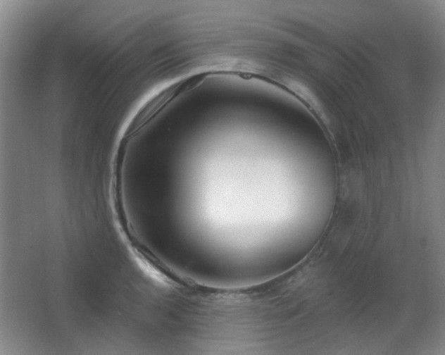 X0000066931136200603241109