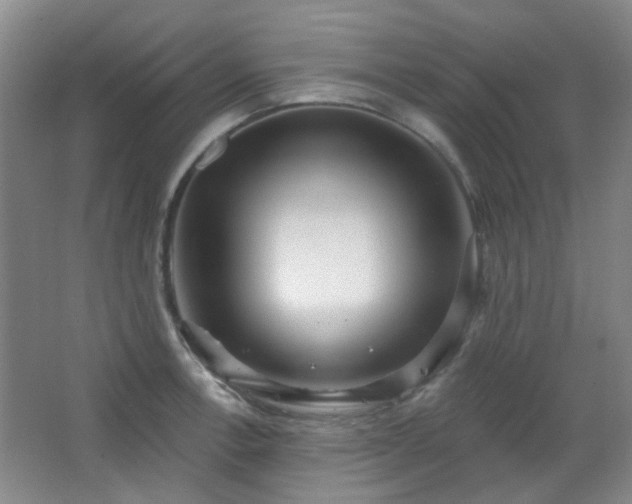 X0000066931138200603241109