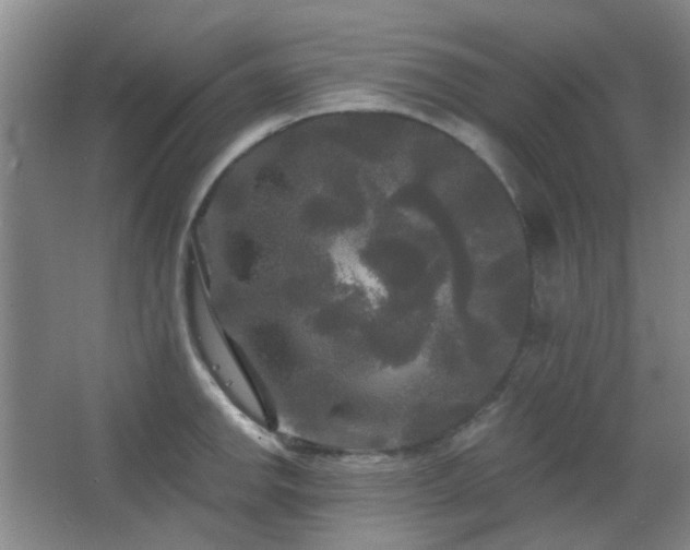 X0000066931142200603241109