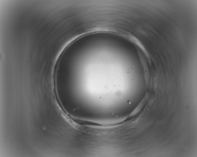 X0000066931148200603241109