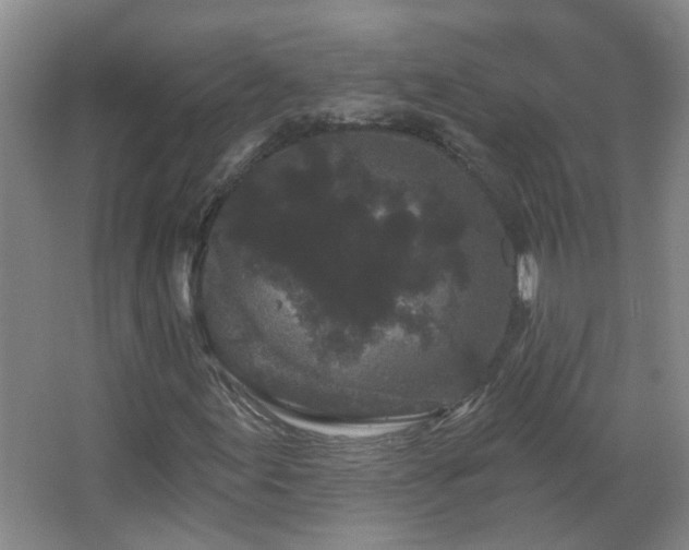 X0000066931155200603241108